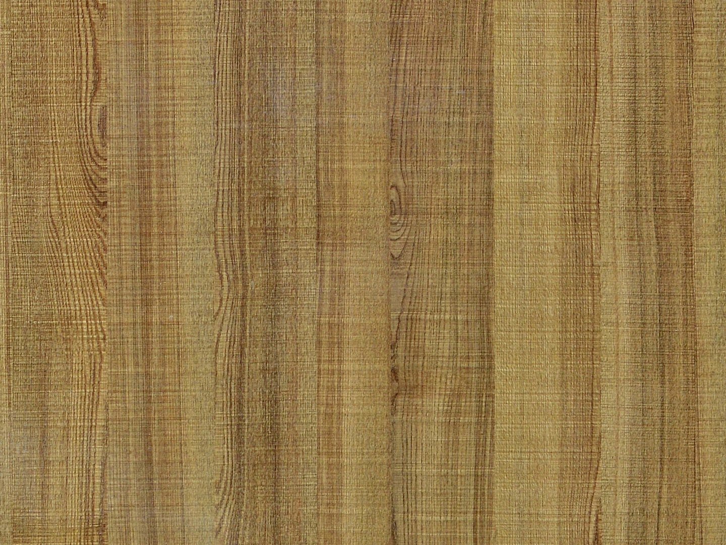 鋸紋田園柚NO.525