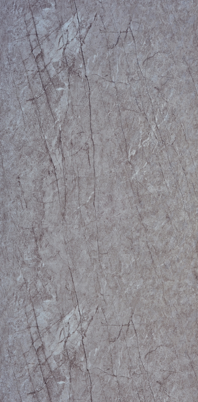 No.885 普林斯頓黑爵