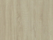 No.512 經典梧桐
